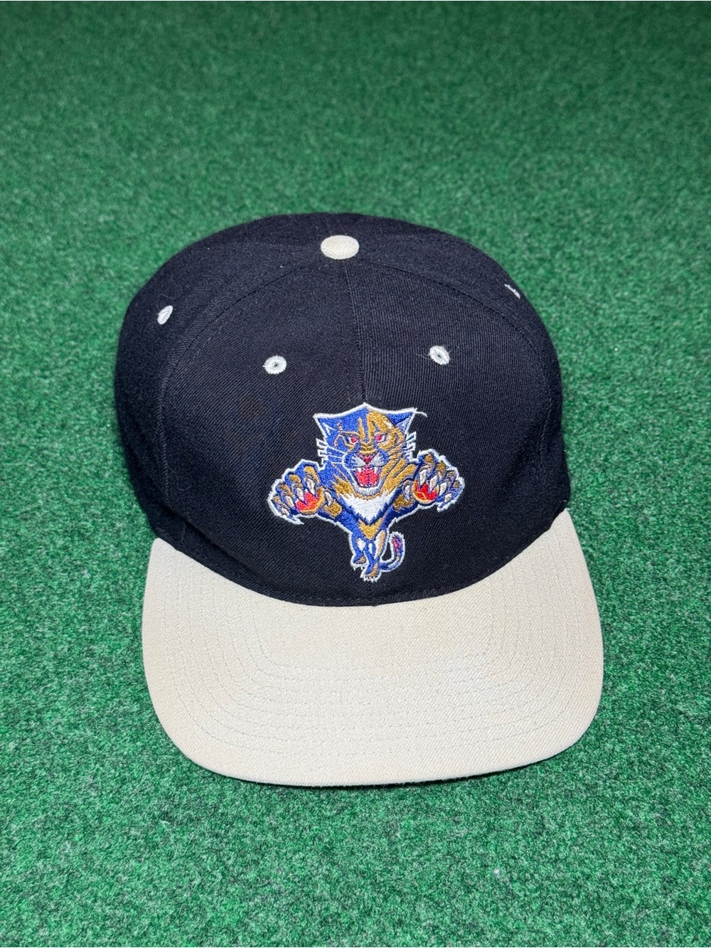 Vintage 90s Florida Panthers SnapBack Hat, Hockey NHL Twins Wool Cap